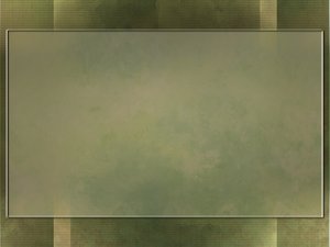 平台全方位解析